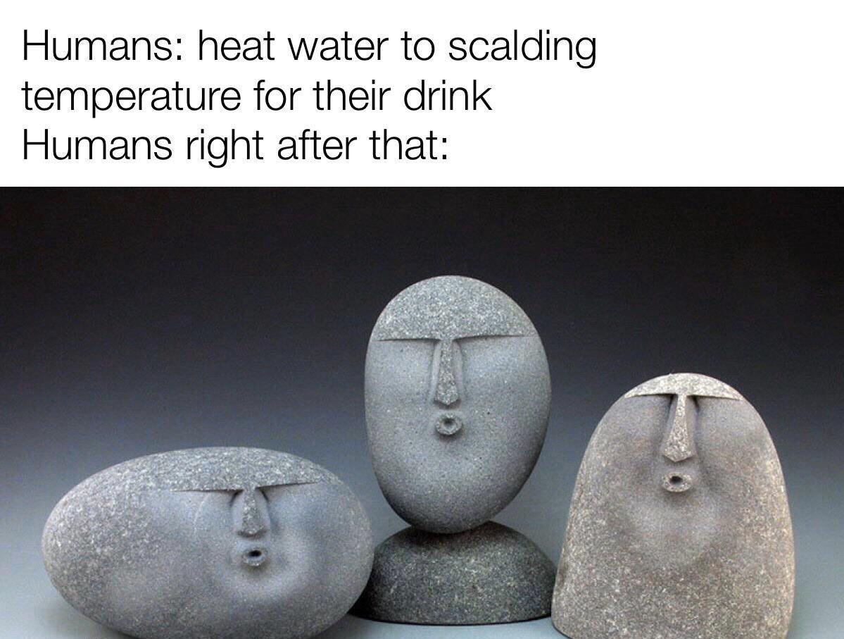 oof stones meme - Humans heat water to scalding temperature for their drink Humans right after that