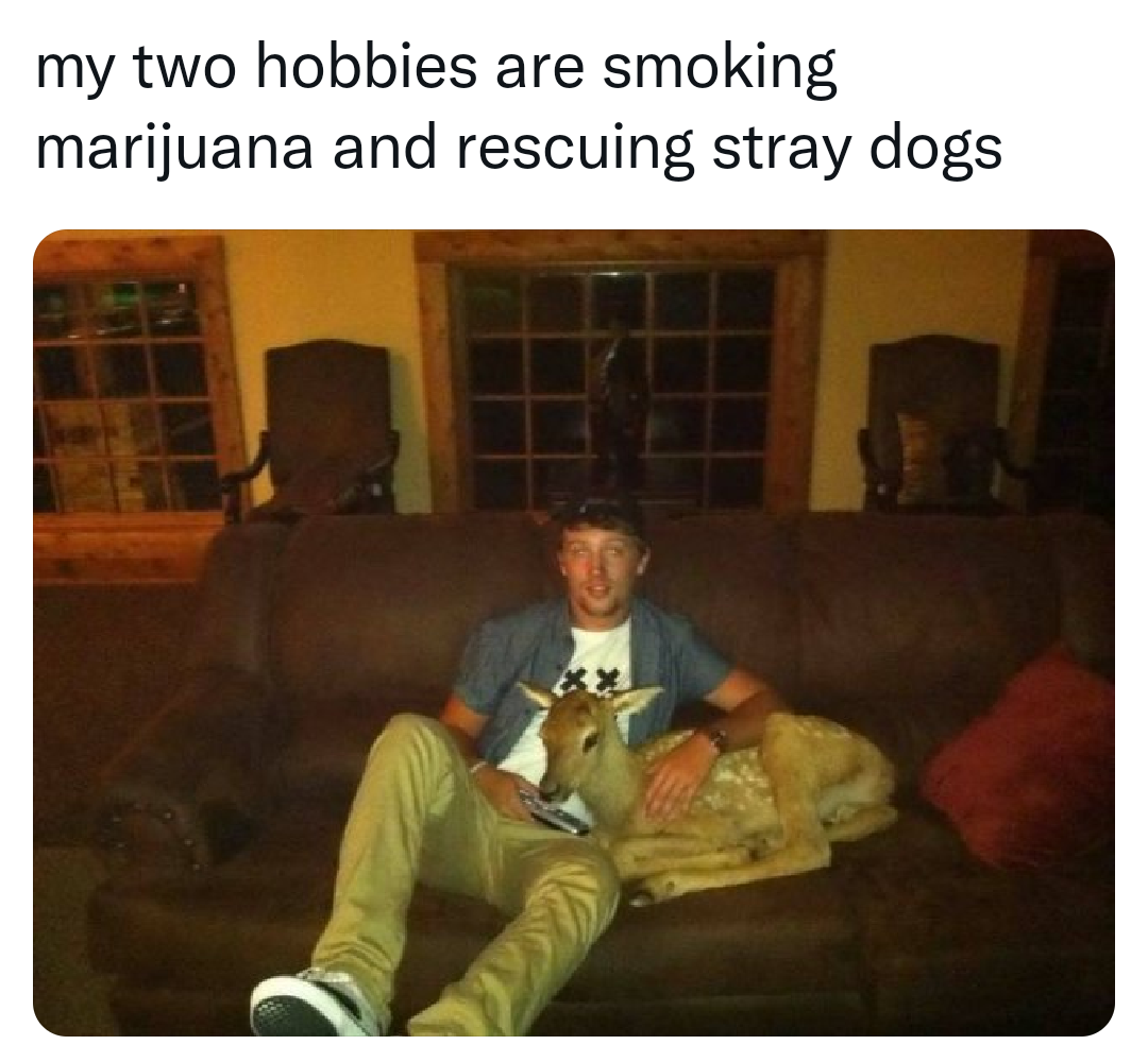 human behavior - my two hobbies are smoking marijuana and rescuing stray dogs