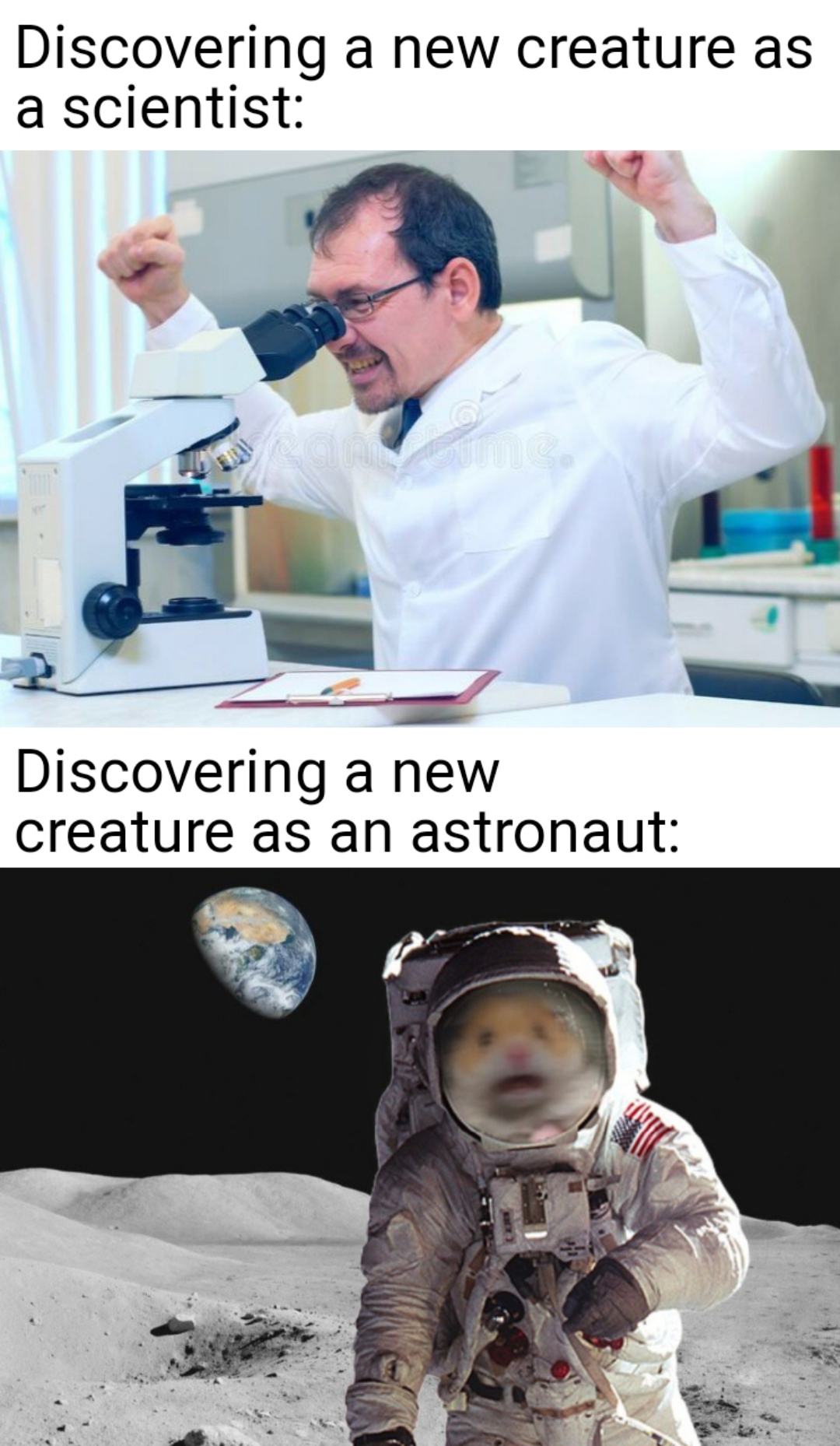 photo caption - Discovering a new creature as a scientist Discovering a new creature as an astronaut
