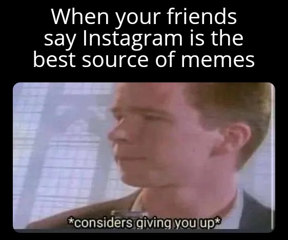head - When your friends say Instagram is the best source of memes considers giving you up