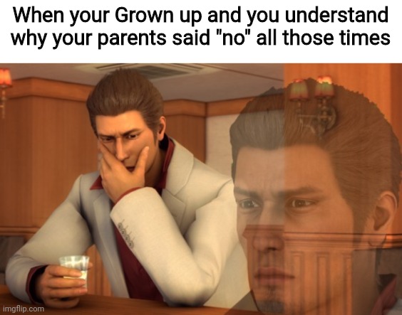 dank memes - funny memes - When your Grown up and you understand why your parents said "no" all those times imgflip.com