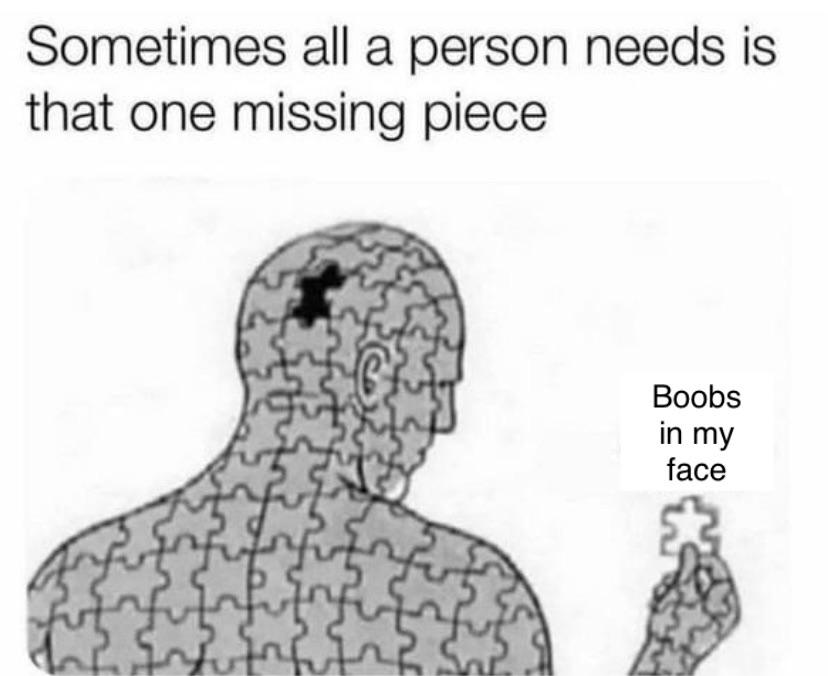 dank memes - sometimes all a person needs is that one missing piece - Sometimes all a person needs is that one missing piece Boobs in my face unut