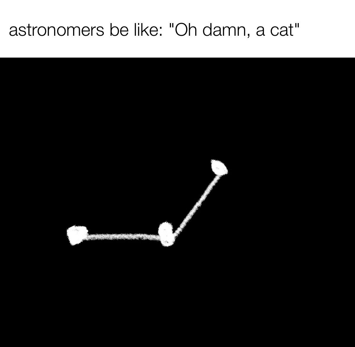 dank memes - diagram - astronomers be "Oh damn, a cat"