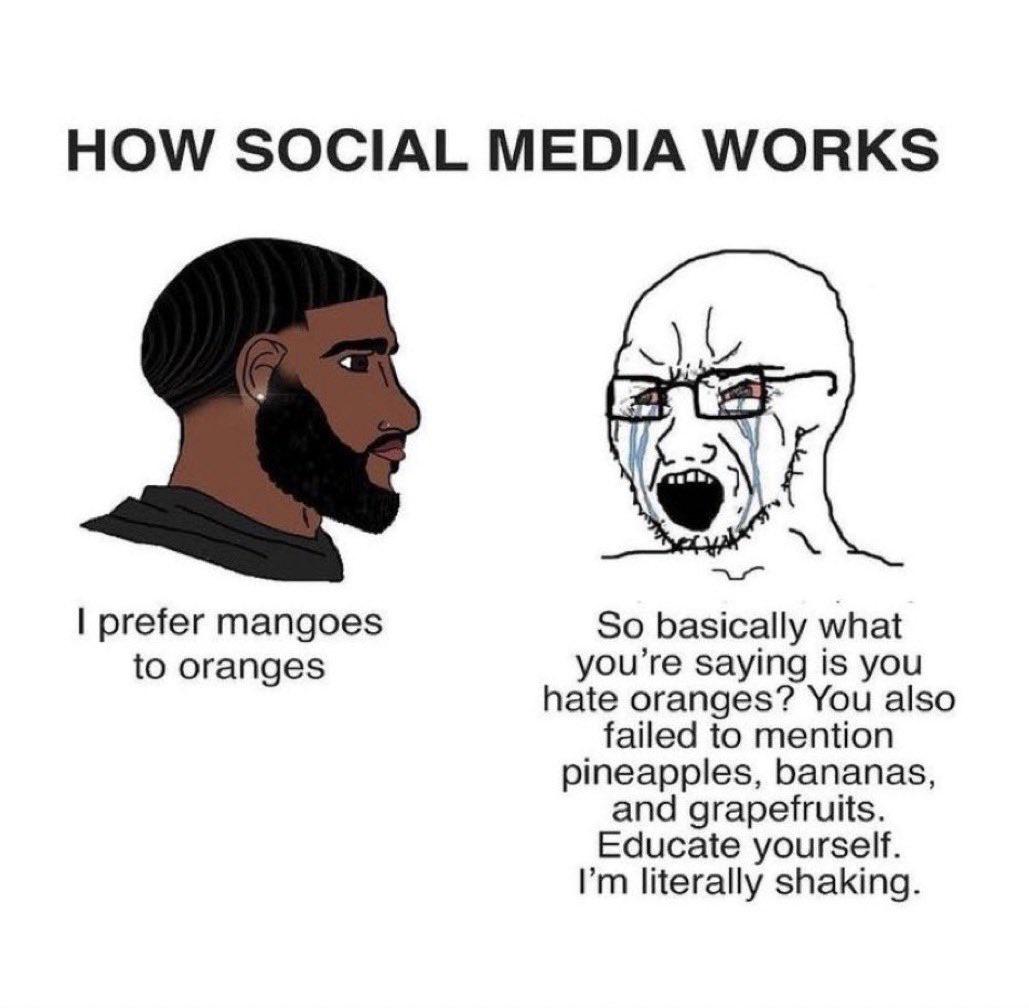 dank memes - twitter in a nutshell - How Social Media Works I prefer mangoes to oranges So basically what you're saying is you hate oranges? You also failed to mention pineapples, bananas, and grapefruits. Educate yourself. I'm literally shaking.