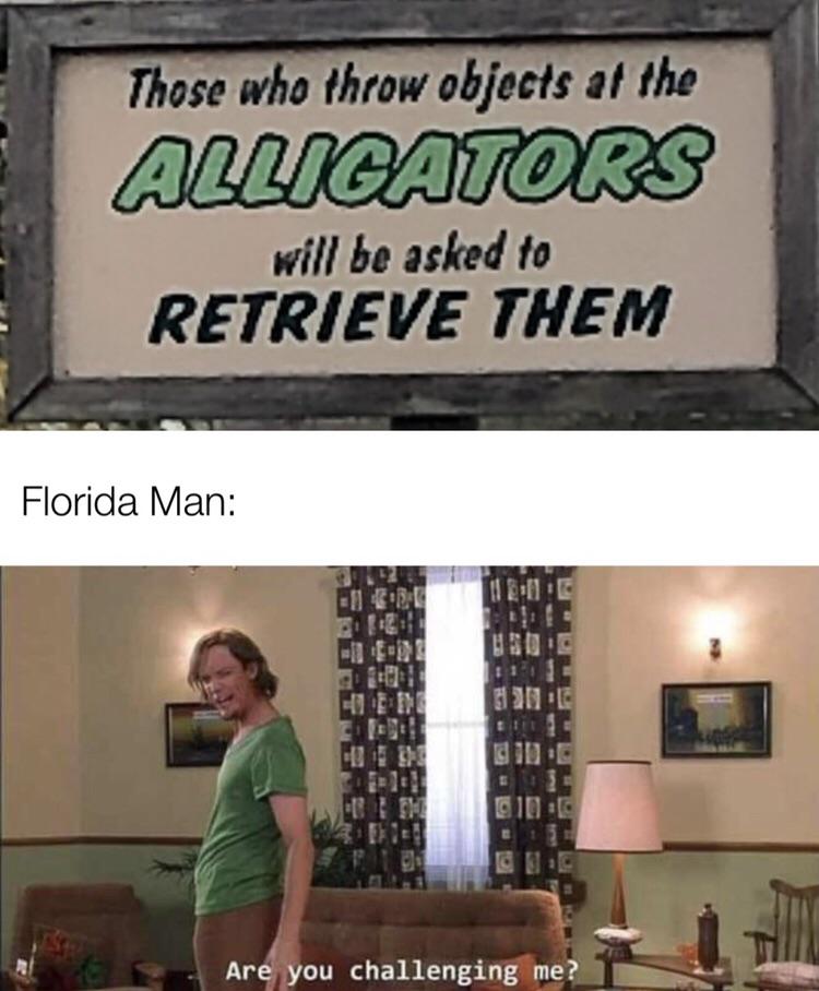dank memes - u challenging me - Those who throw objects at the Alligators will be asked to Retrieve Them Florida Man in E Are you challenging me?