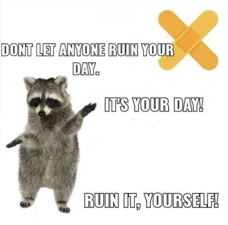 funny memes - dank memes - Dont Let Anyone Ruin Your Day. It'S Your Day! Ruin It, Yourself!