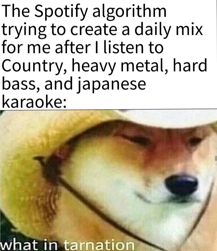photo caption - The Spotify algorithm trying to create a daily mix for me after I listen to Country, heavy metal, hard bass, and japanese karaoke what in tarnation