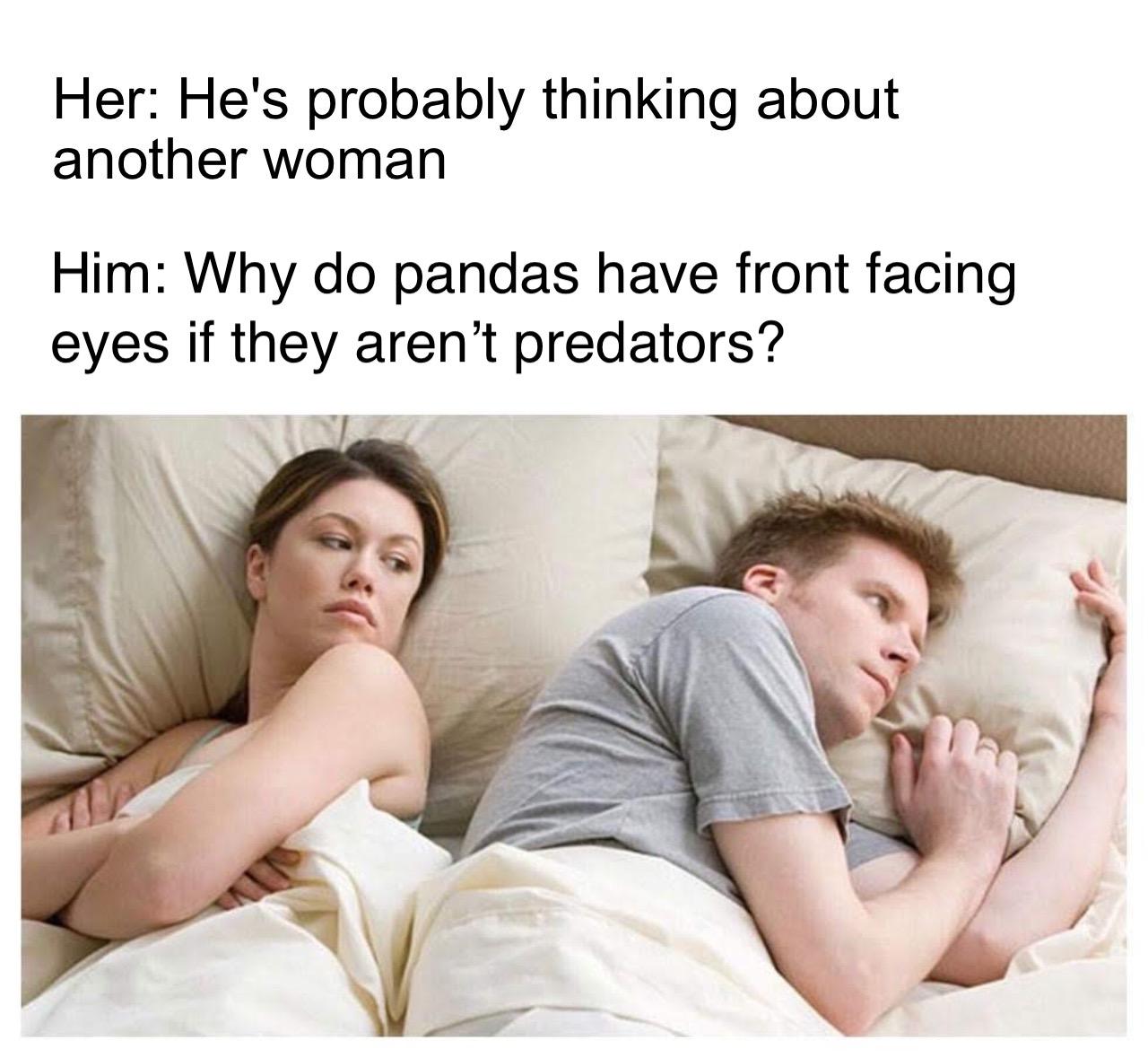 he's probably thinking about meme - Her He's probably thinking about another woman Him Why do pandas have front facing eyes if they aren't predators?