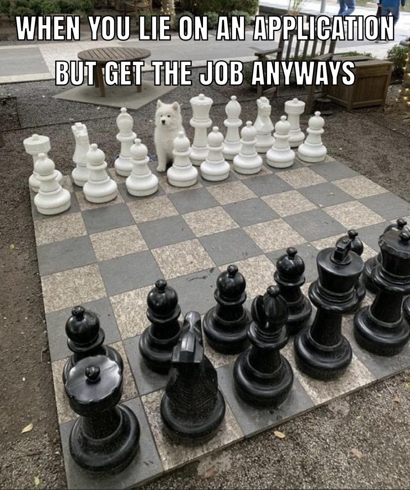 dog on board chess meme - When You Lie On An Application Mity But Get The Job Anyways