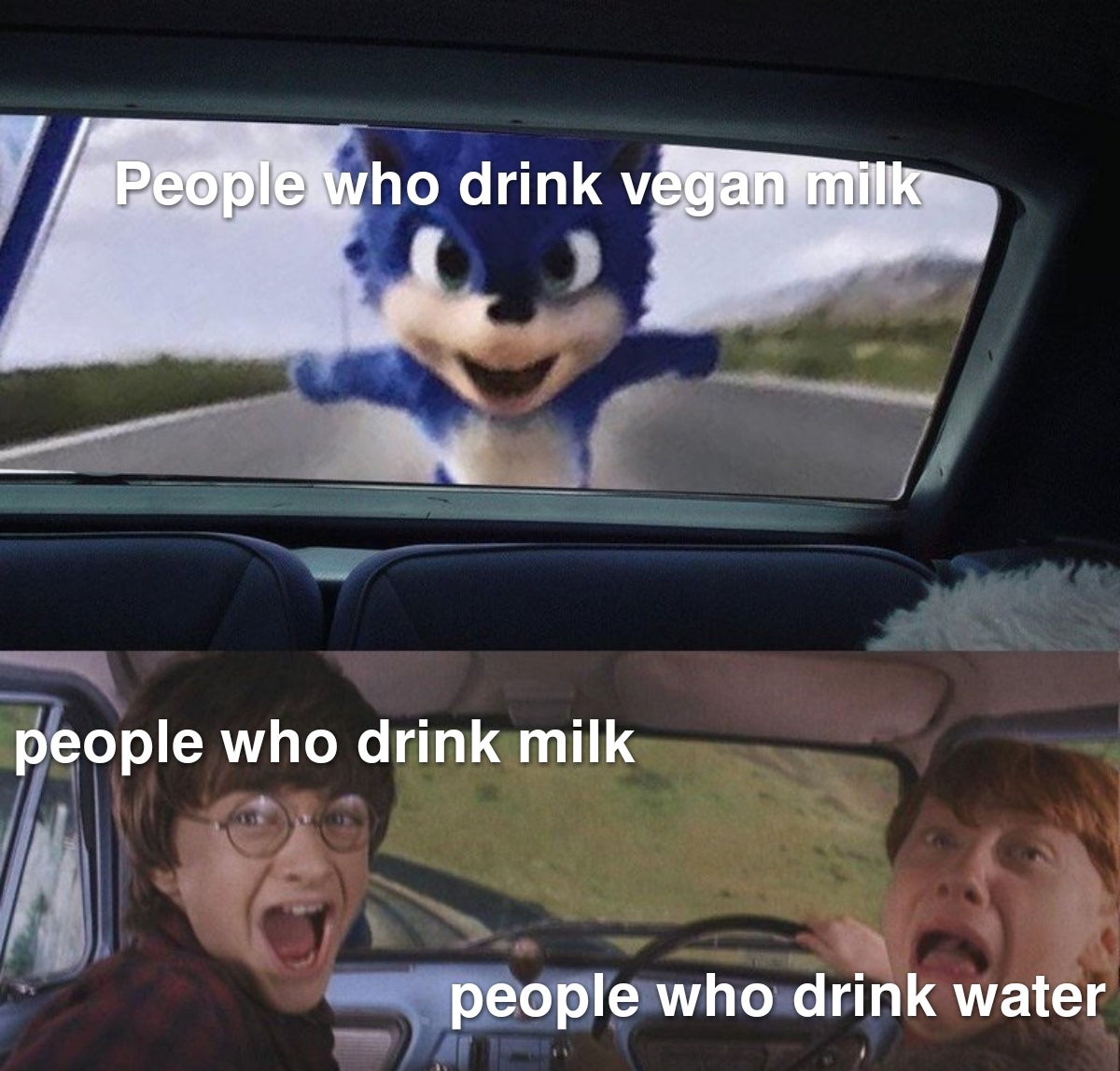harry potter - People who drink vegan milk people who drink milk people who drink water
