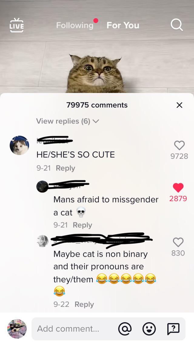 screenshot - Live ing For You 79975 View replies 6 HeShe'S So Cute 9728 921 Mans afraid to missgender 2879 a cat 921 830 Maybe cat is non binary and their pronouns are theythem Ve 922 Add comment... ?