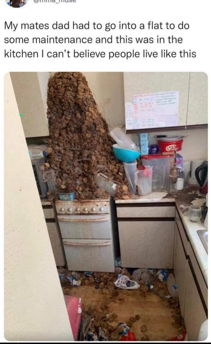 scotland hoarder tea bags - My mates dad had to go into a flat to do some maintenance and this was in the kitchen I can't believe people live this