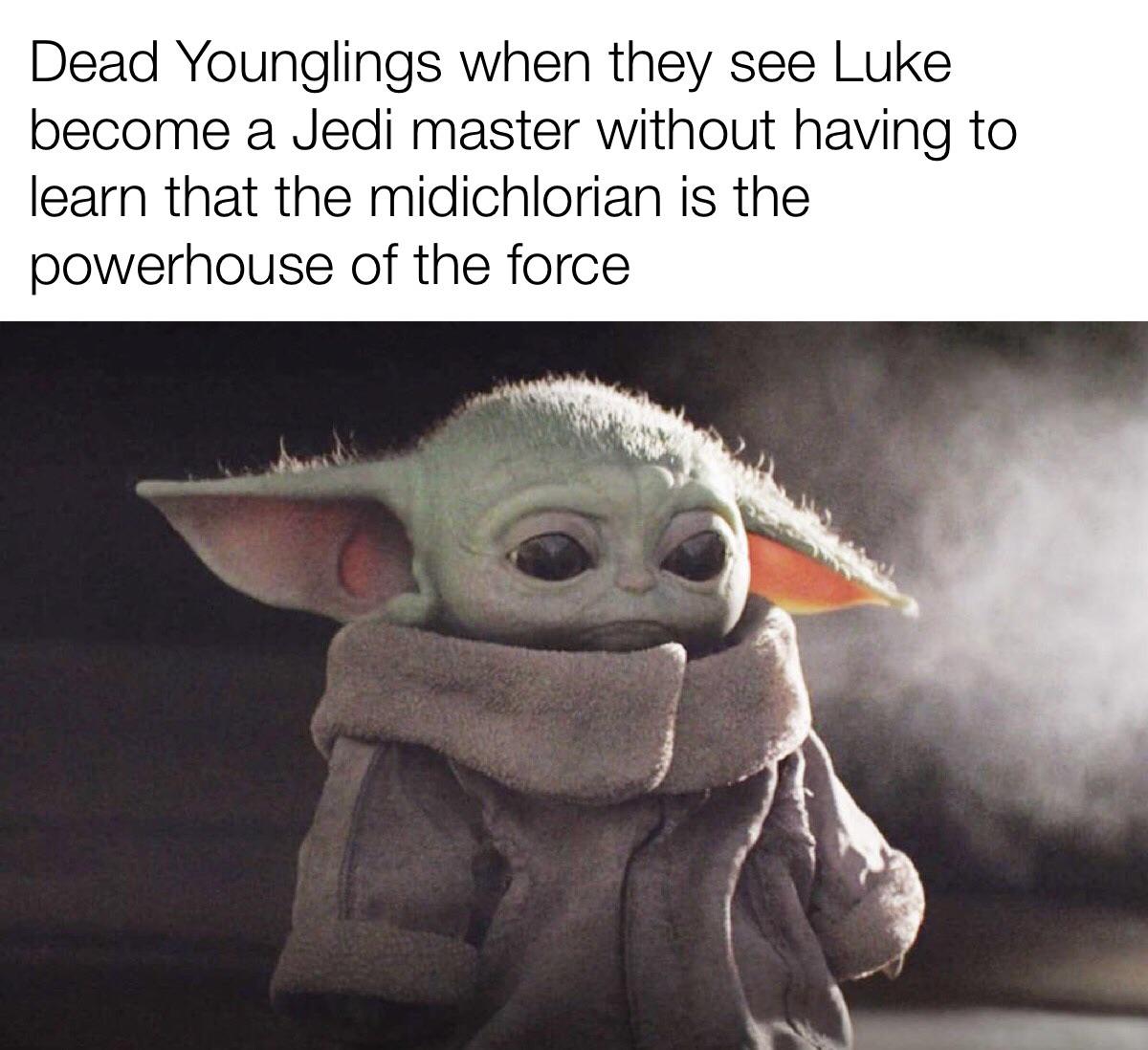 baby yoda sad memes - Dead Younglings when they see Luke become a Jedi master without having to learn that the midichlorian is the powerhouse of the force