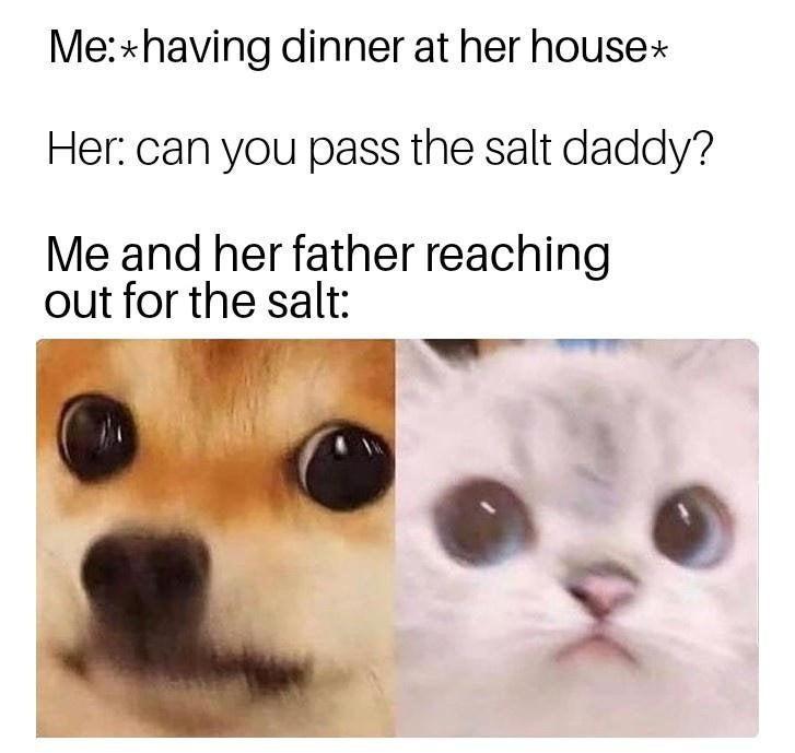 you finally meet in person and you both shy - Me having dinner at her house Her can you pass the salt daddy? Me and her father reaching out for the salt
