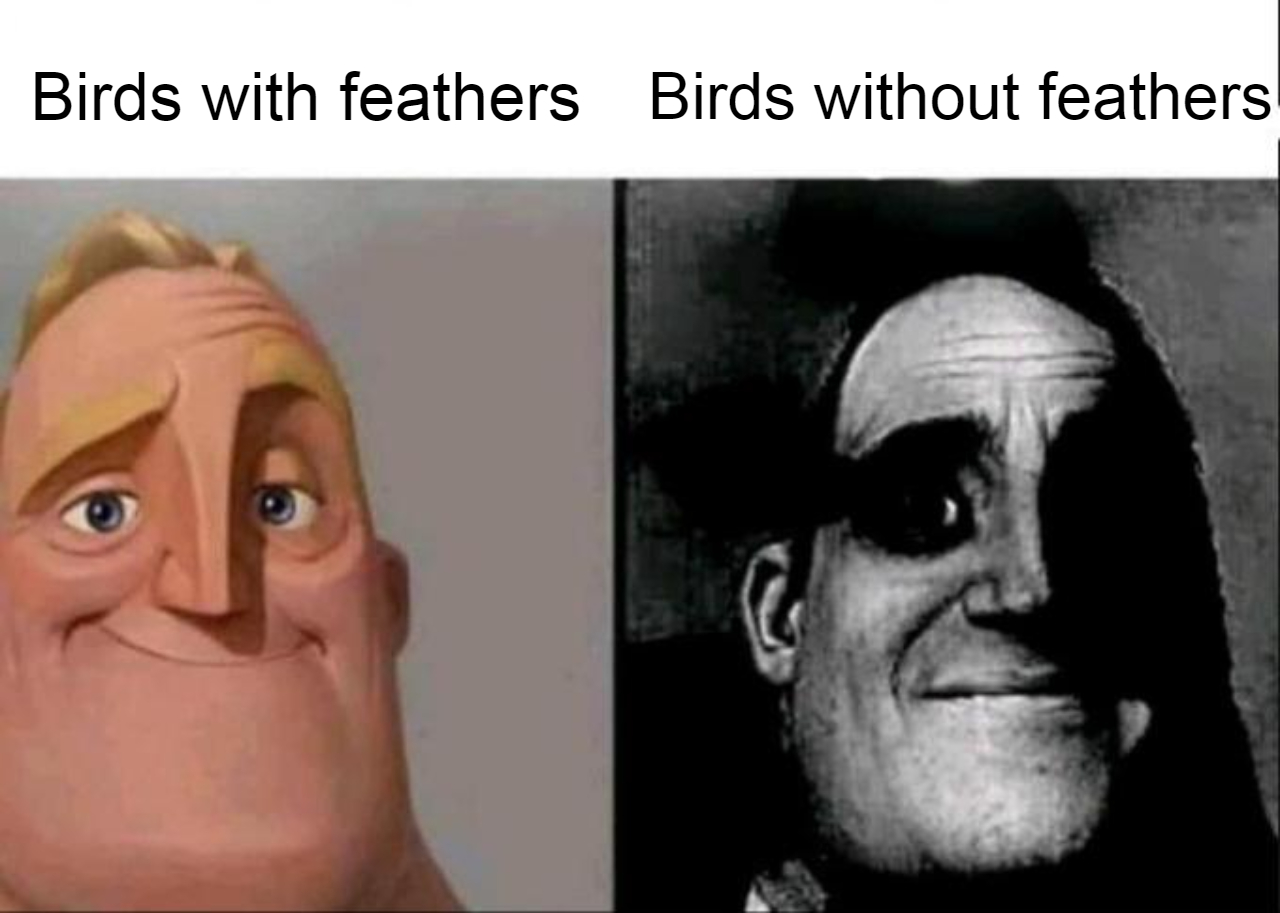 funny memes - dank memes - Birds with feathers Birds without feathers