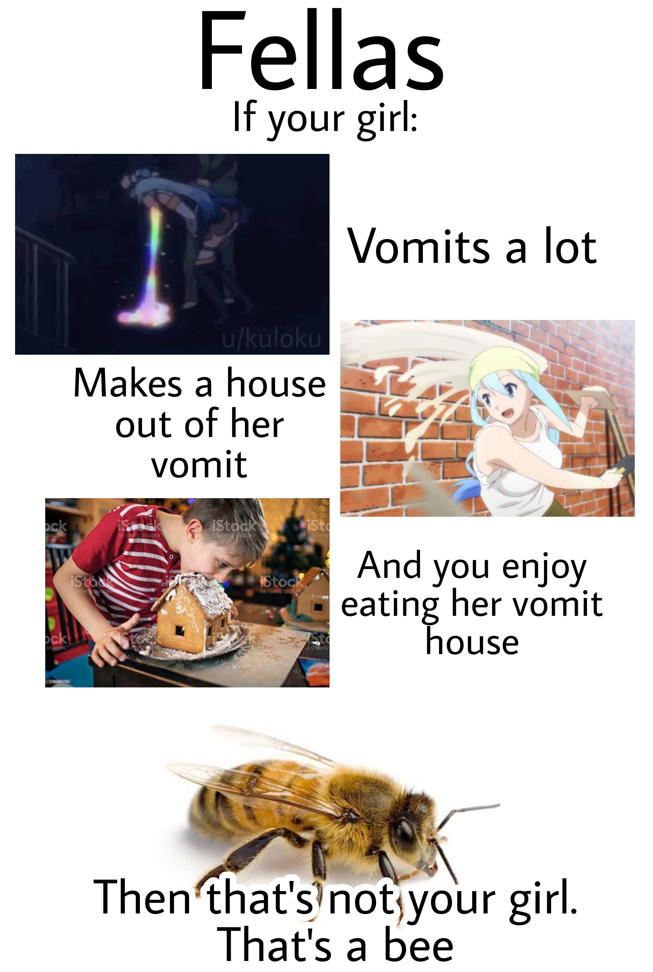 pet - Fellas If your girl Vomits a lot Makes a house out of her vomit And you enjoy eating her vomit house Then that's not your girl. That's a bee