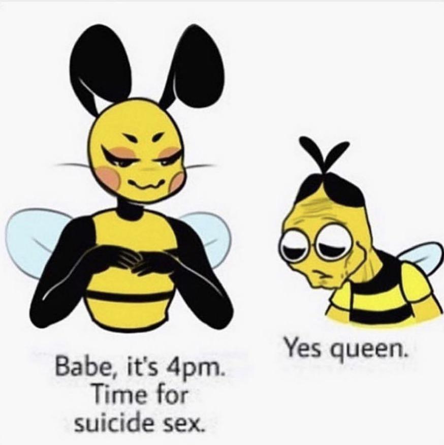 yes queen bee meme - A Yes queen. Babe, it's 4pm. Time for suicide sex.