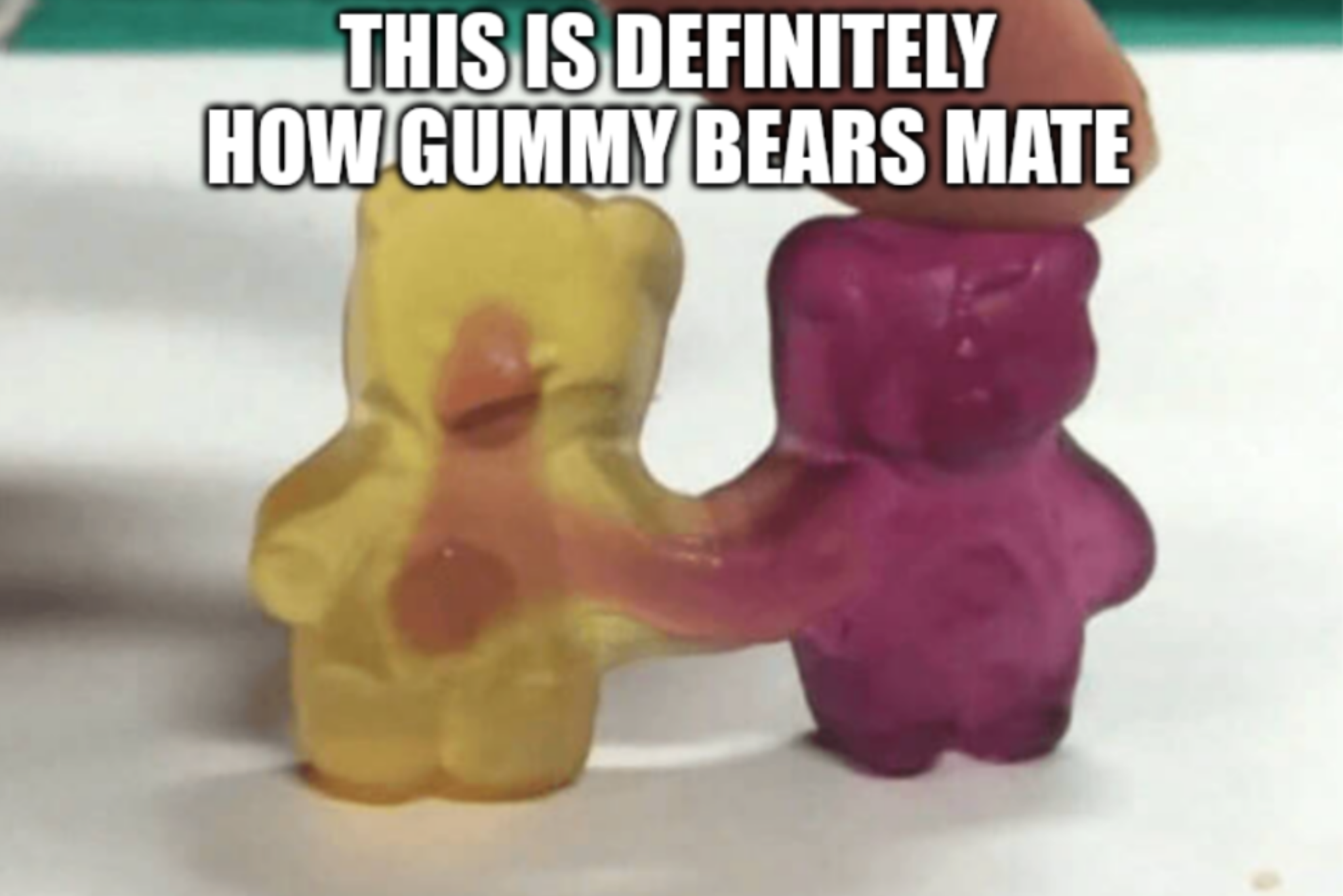 funny pics and memes - gummy bear - This Is Definitely How Gummy Bears Mate