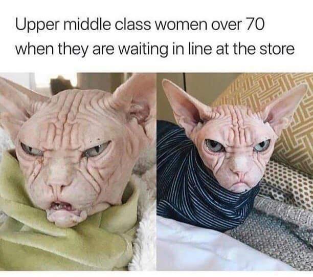 funny pics and memes - upper middle class over 70 - Upper middle class women over 70 when they are waiting in line at the store