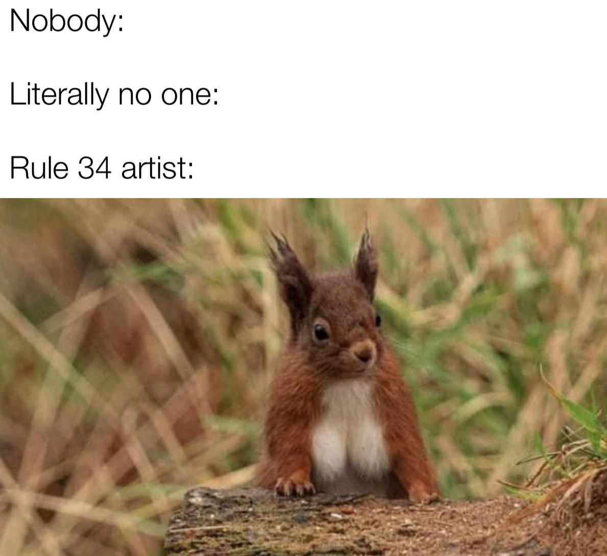 funny pics and memes - Squirrels - Nobody Literally no one Rule 34 artist