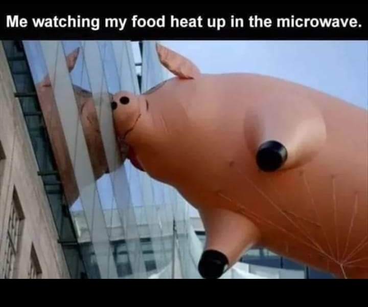 dank memes - funny memes - me watching my food heat up - Me watching my food heat up in the microwave.
