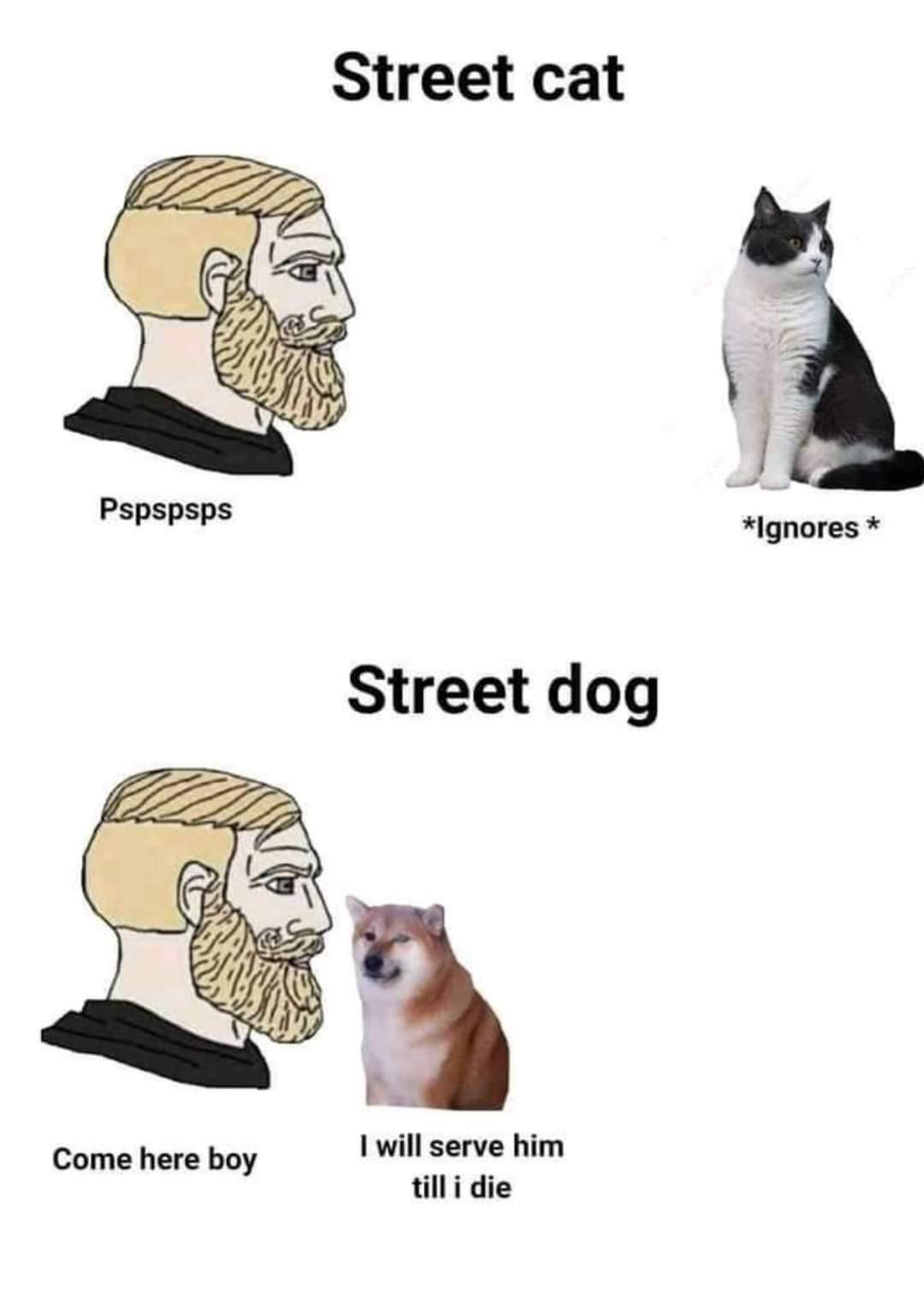 dank memes - funny memes - fnf madness combat - Street cat Pspspsps Ignores Street dog Come here boy I will serve him till i die