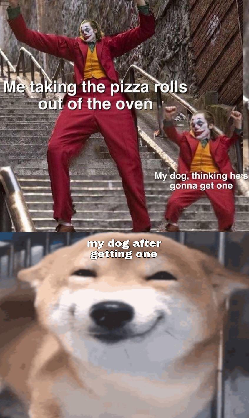 joker stairsmeme - Me taking the pizza rolls out of the oven My dog, thinking he's gonna get one my dog after getting one