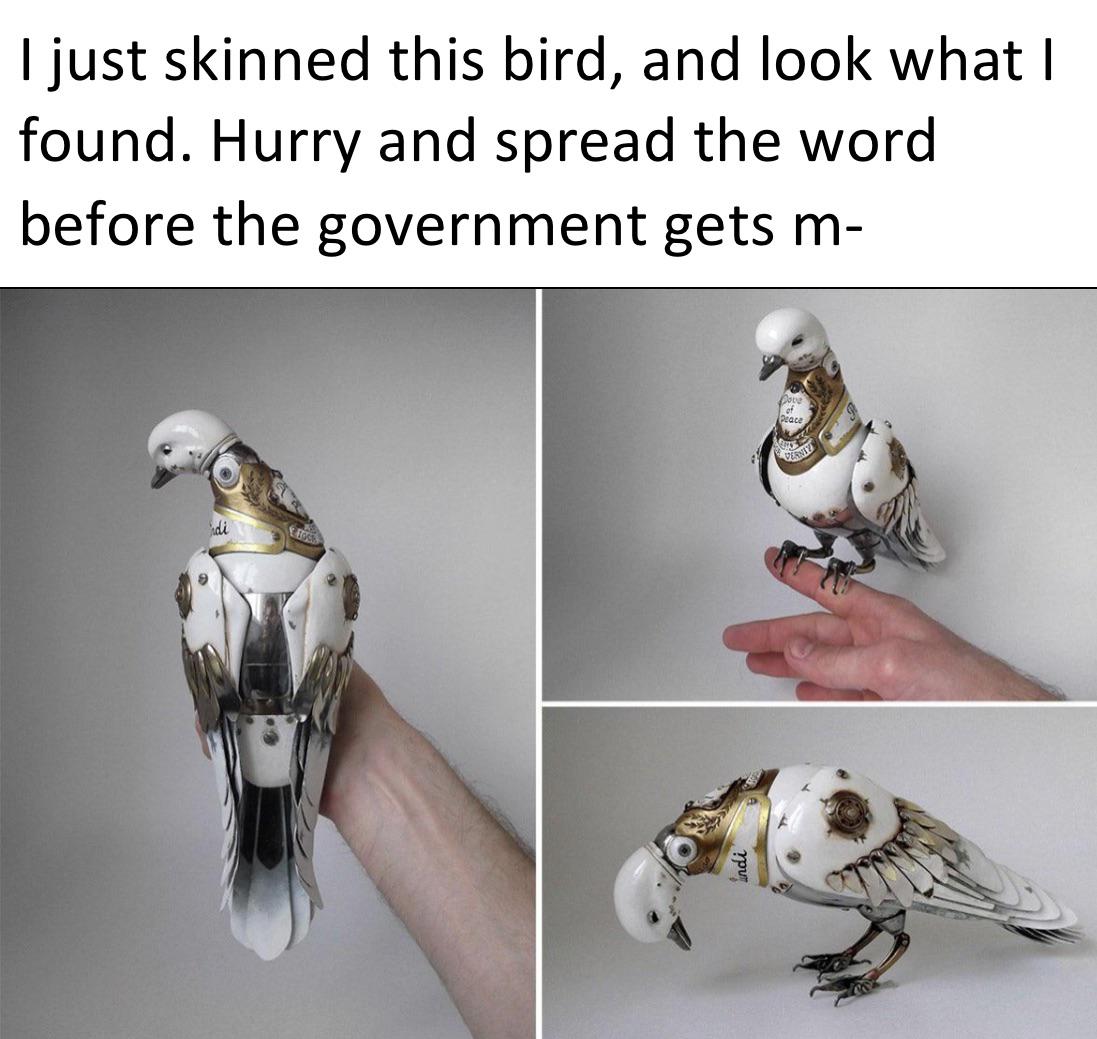 igor verniy - I just skinned this bird, and look what | found. Hurry and spread the word before the government gets m Peace di