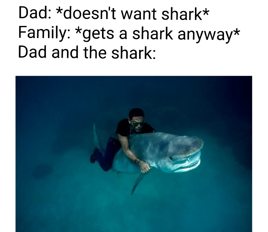 water - Dad doesn't want shark Family gets a shark anyway Dad and the shark