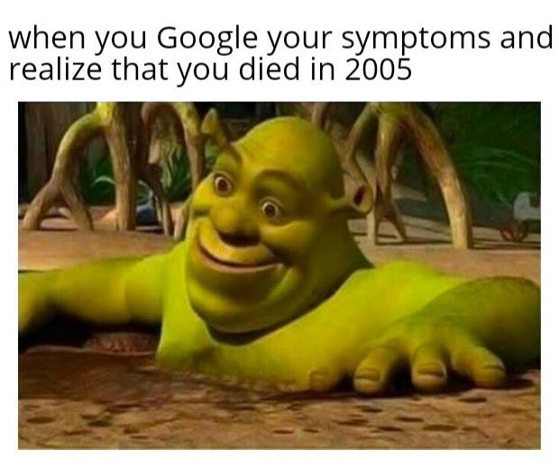 ultra memes - when you Google your symptoms and realize that you died in 2005 Lot