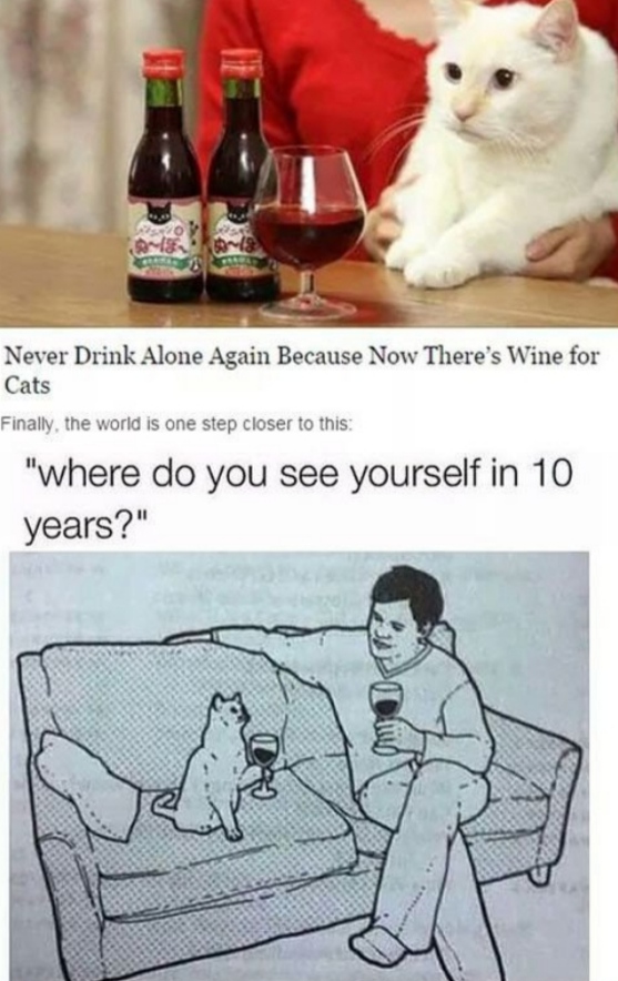 never drink alone again wine for cats - 18 Never Drink Alone Again Because Now There's Wine for Cats Finally, the world is one step closer to this "where do you see yourself in 10 years?"