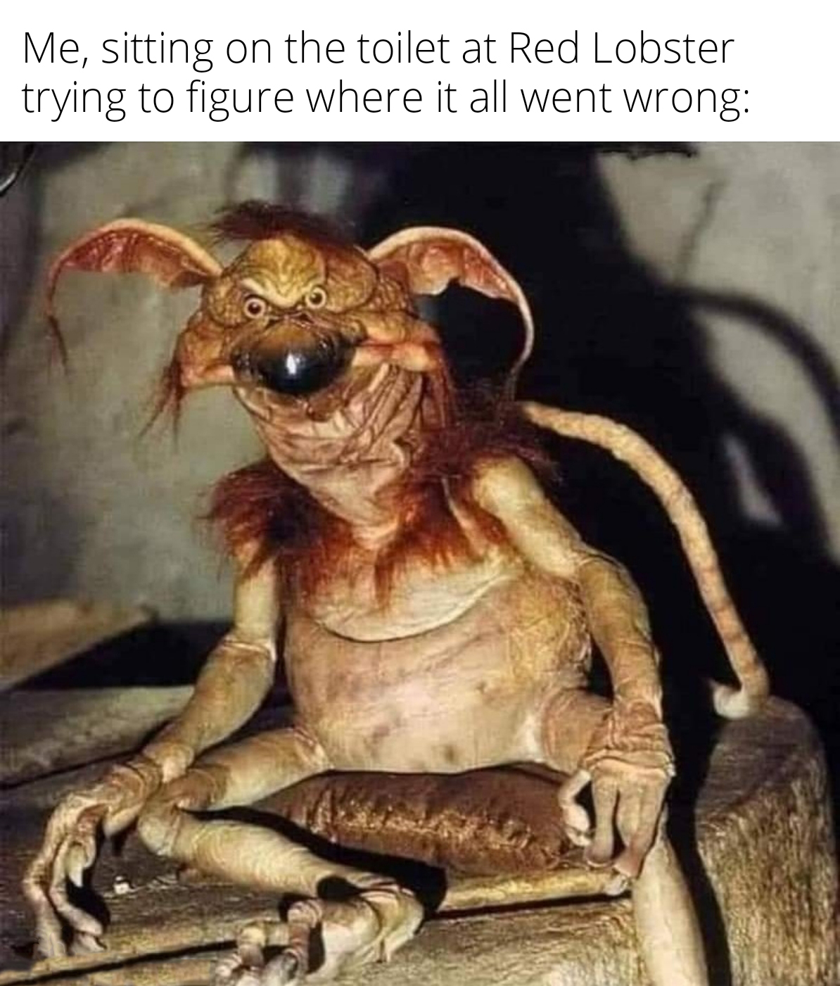 salacious crumb - Me, sitting on the toilet at Red Lobster trying to figure where it all went wrong