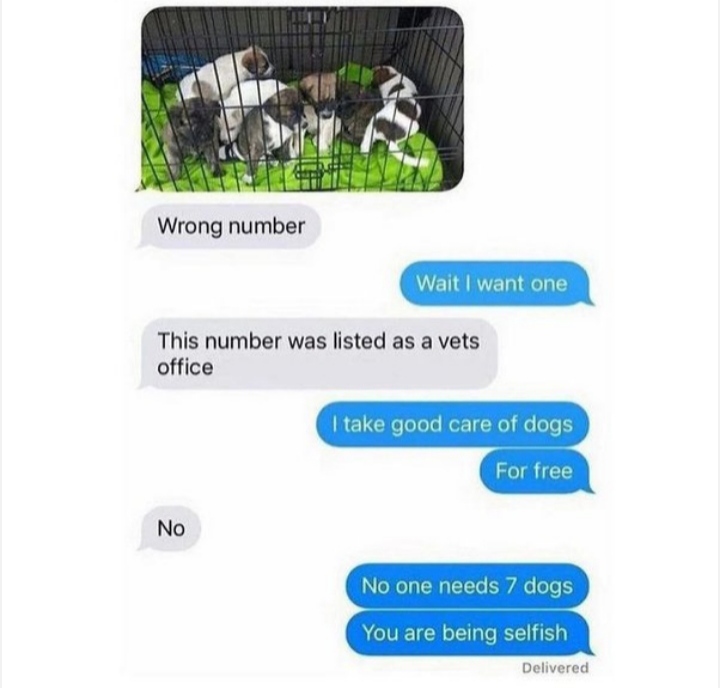 wrong number wait - Wrong number Wait I want one This number was listed as a vets office I take good care of dogs For free No 3 No one needs 7 dogs You are being selfish Delivered