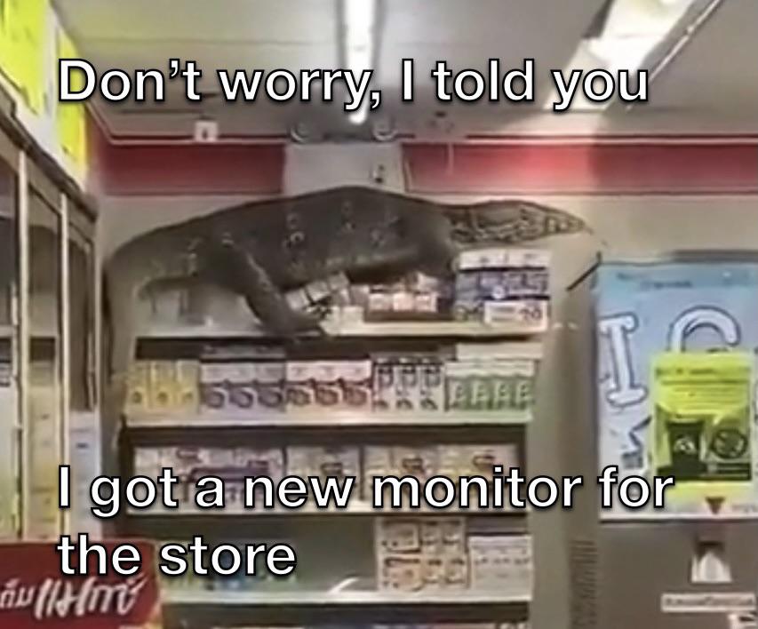 giant lizard thailand - Don't worry, I told you C Fee I got a new monitor for the store Gwaith