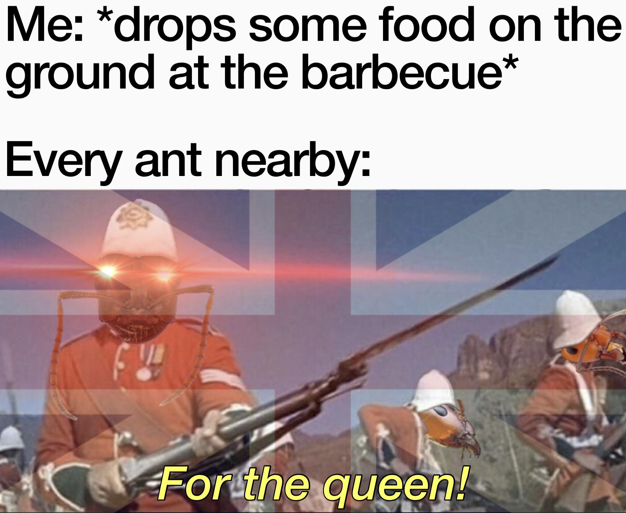 credit card - Me drops some food on the ground at the barbecue Every ant nearby For the queen!