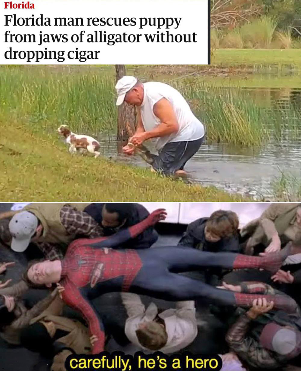 ratatouille 2 meme - Florida Florida man rescues puppy from jaws of alligator without dropping cigar carefully, he's a hero