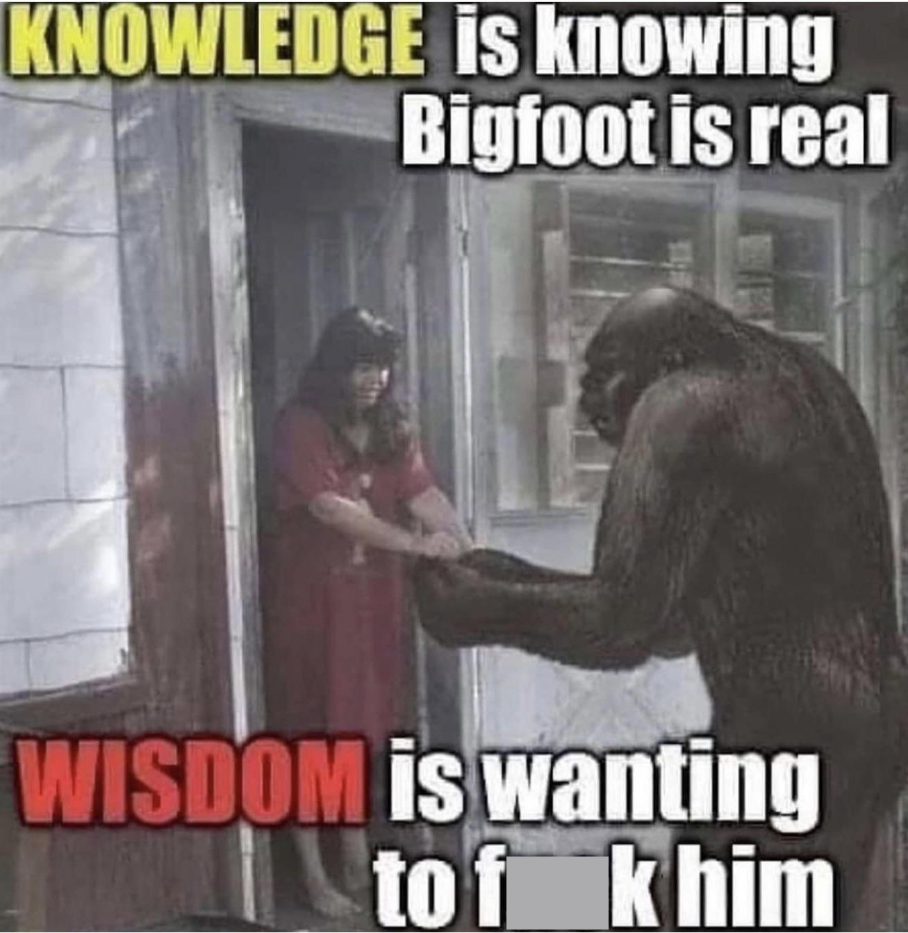Knowledge - Knowledge is knowing Bigfoot is real Wisdom is wanting tof k him