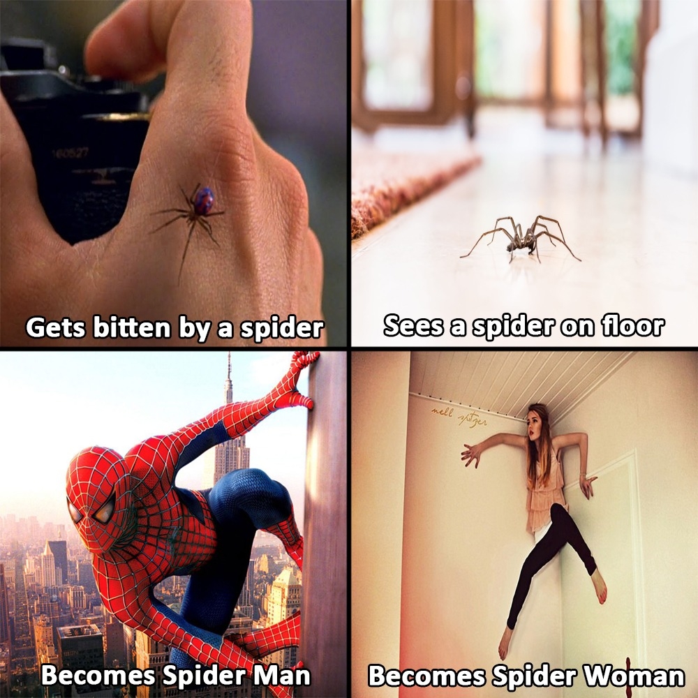 spider men - Gets bitten by a spider Sees a spider on floor Becomes Spider Man Becomes Spider Woman