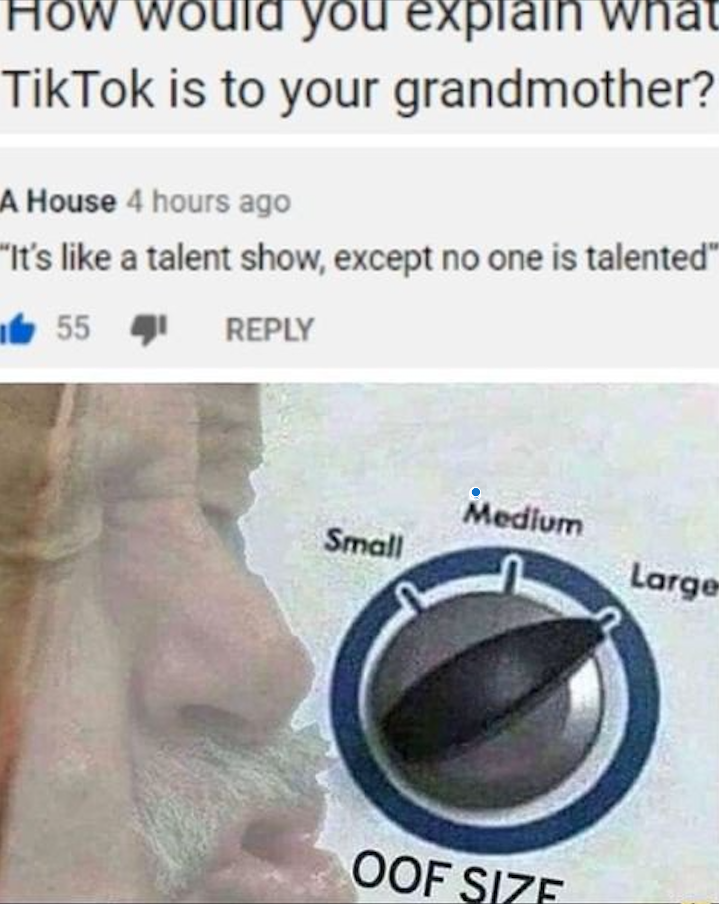 apple music vs spotify meme - How would you explain what TikTok is to your grandmother? A House 4 hours ago "It's a talent show, except no one is talented" b554 Medium Small Large Oof Size