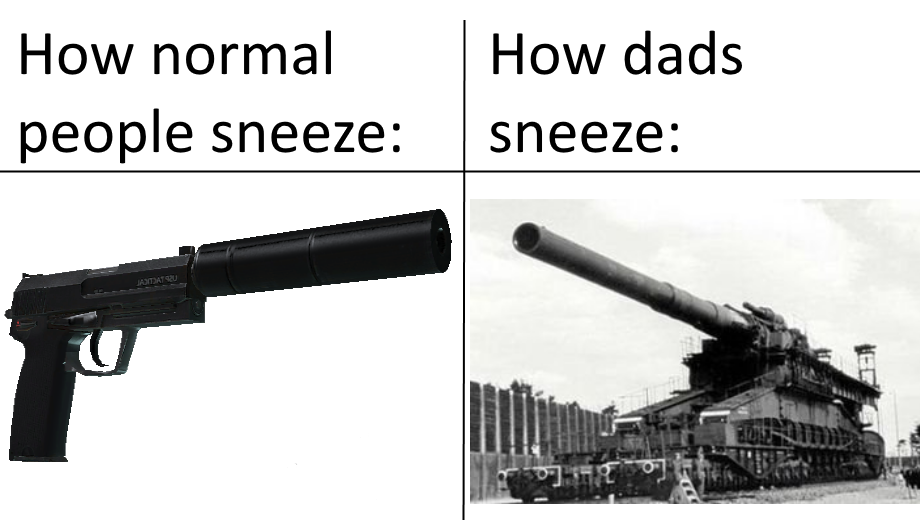 firearm - How normal people sneeze How dads sneeze Jandatsu Ho