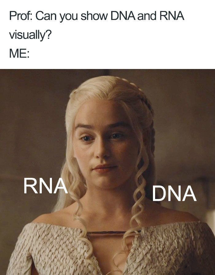 medical funny memes - Prof Can you show Dna and Rna visually? Me Rna Dna