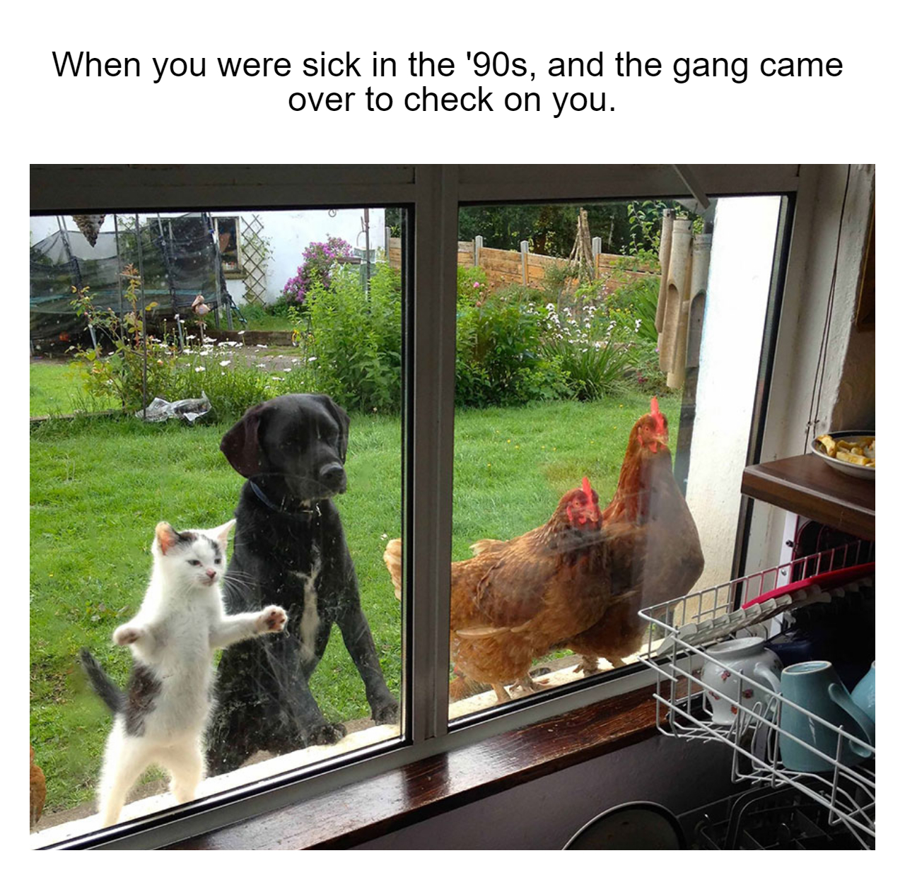 very funny pictures with captions - When you were sick in the '90s, and the gang came over to check on you.