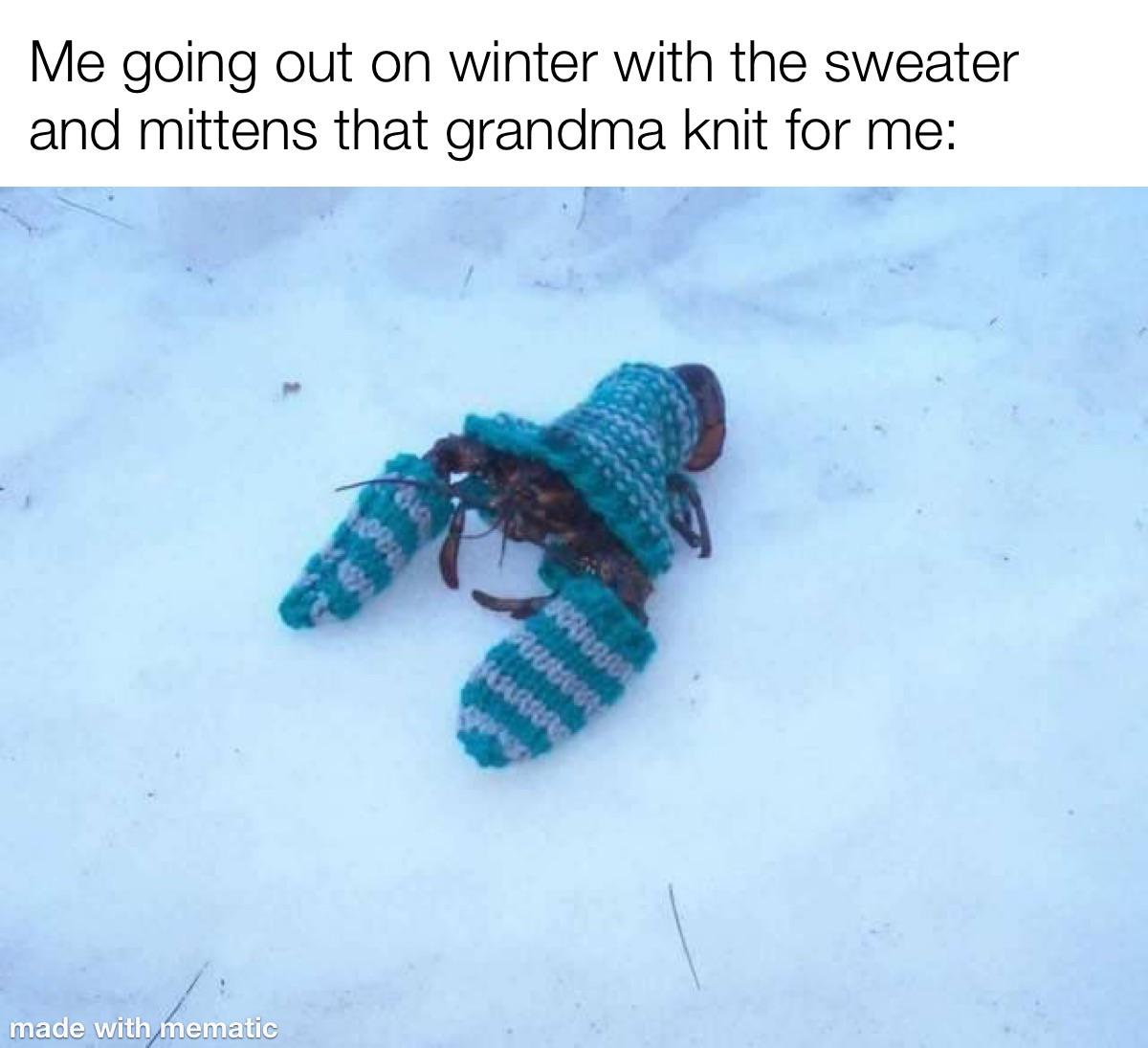 lobster snow - Me going out on winter with the sweater and mittens that grandma knit for me made with mematic