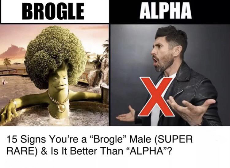 quiggle male - Brogle Alpha X 15 Signs You're a "Brogle Male Super Rare & Is It Better Than Alpha"?