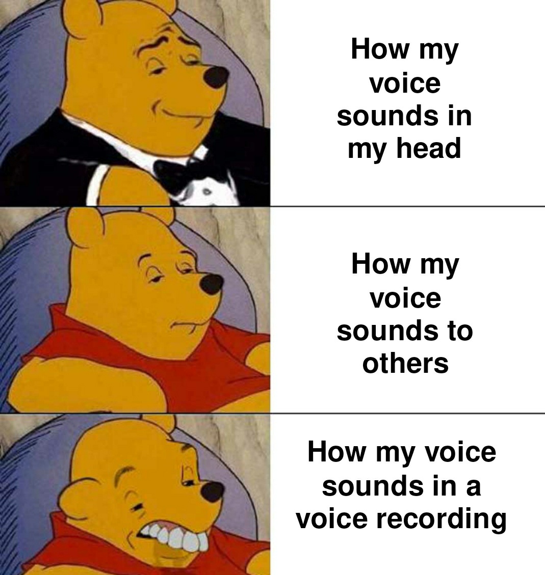 dank memes - punch someone through the internet - How my voice sounds in my head How my voice sounds to others How my voice sounds in a voice recording