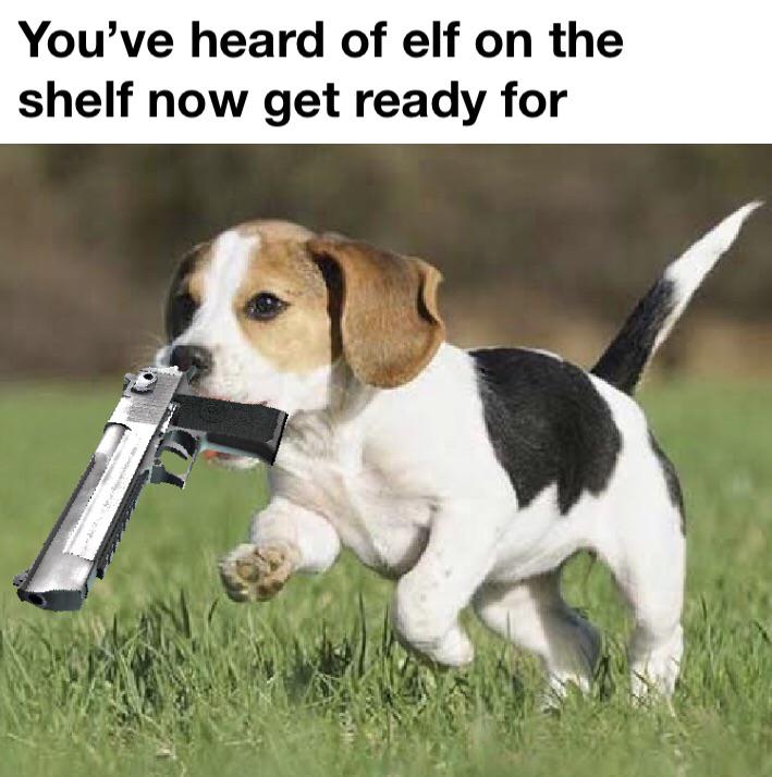 dogs for kids - You've heard of elf on the shelf now get ready for