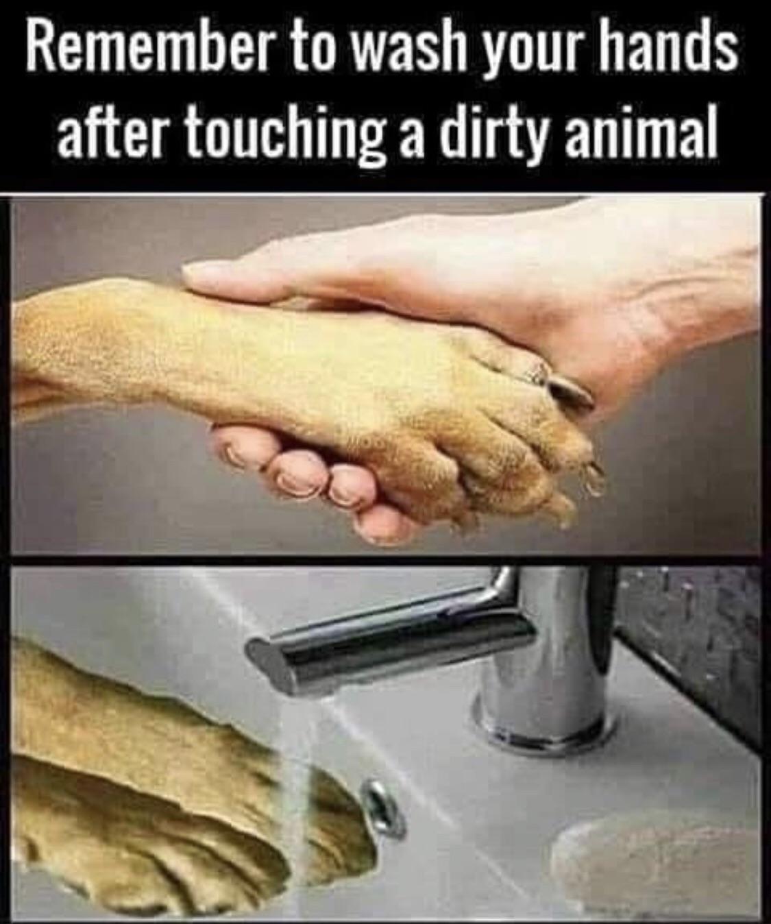 remember to wash your hands after touching a dirty - Remember to wash your hands after touching a dirty animal