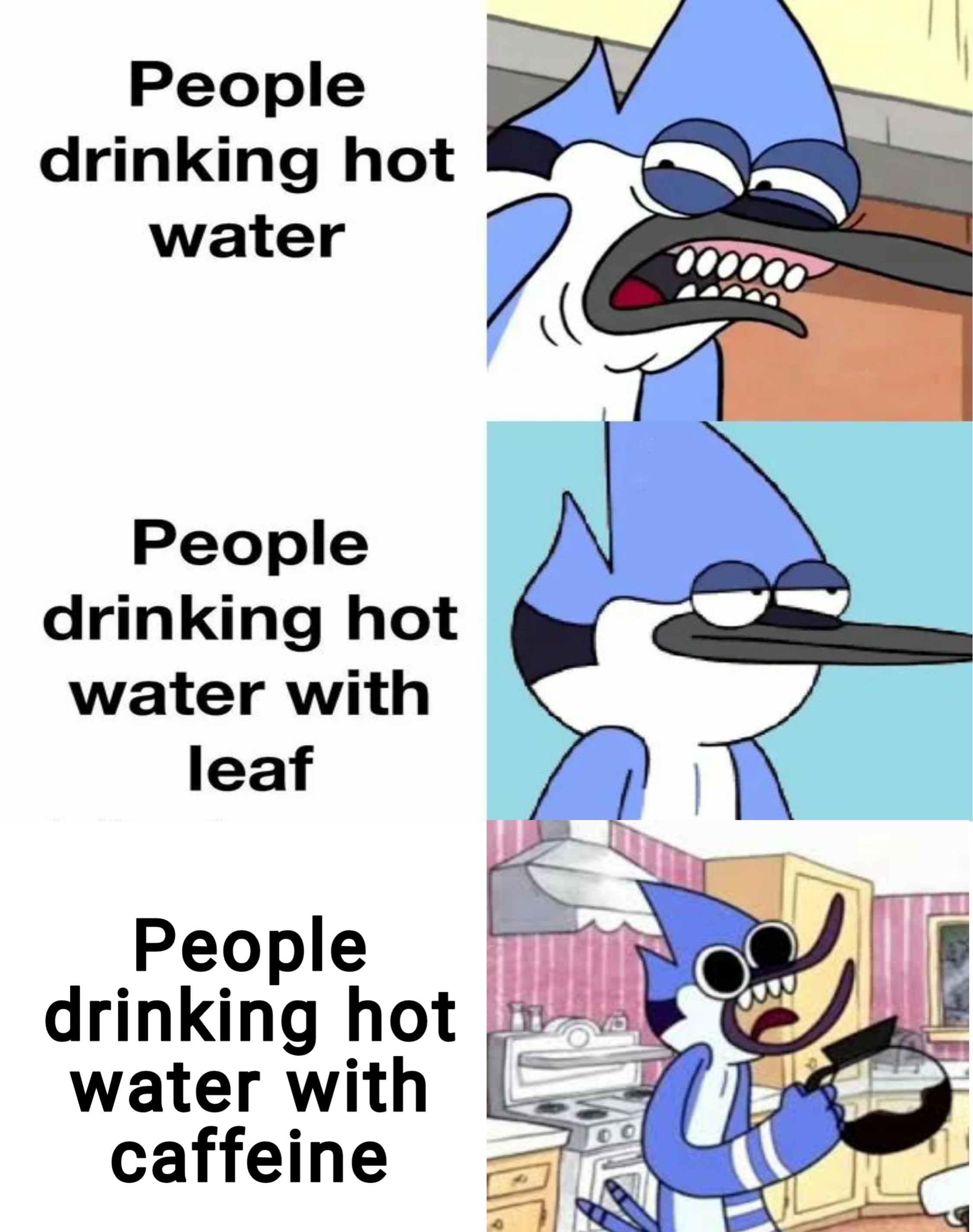 regular show - People drinking hot water People drinking hot water with leaf People drinking hot water with caffeine