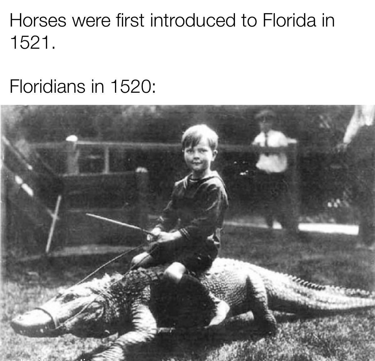 sonia dada albums - Horses were first introduced to Florida in 1521. Floridians in 1520