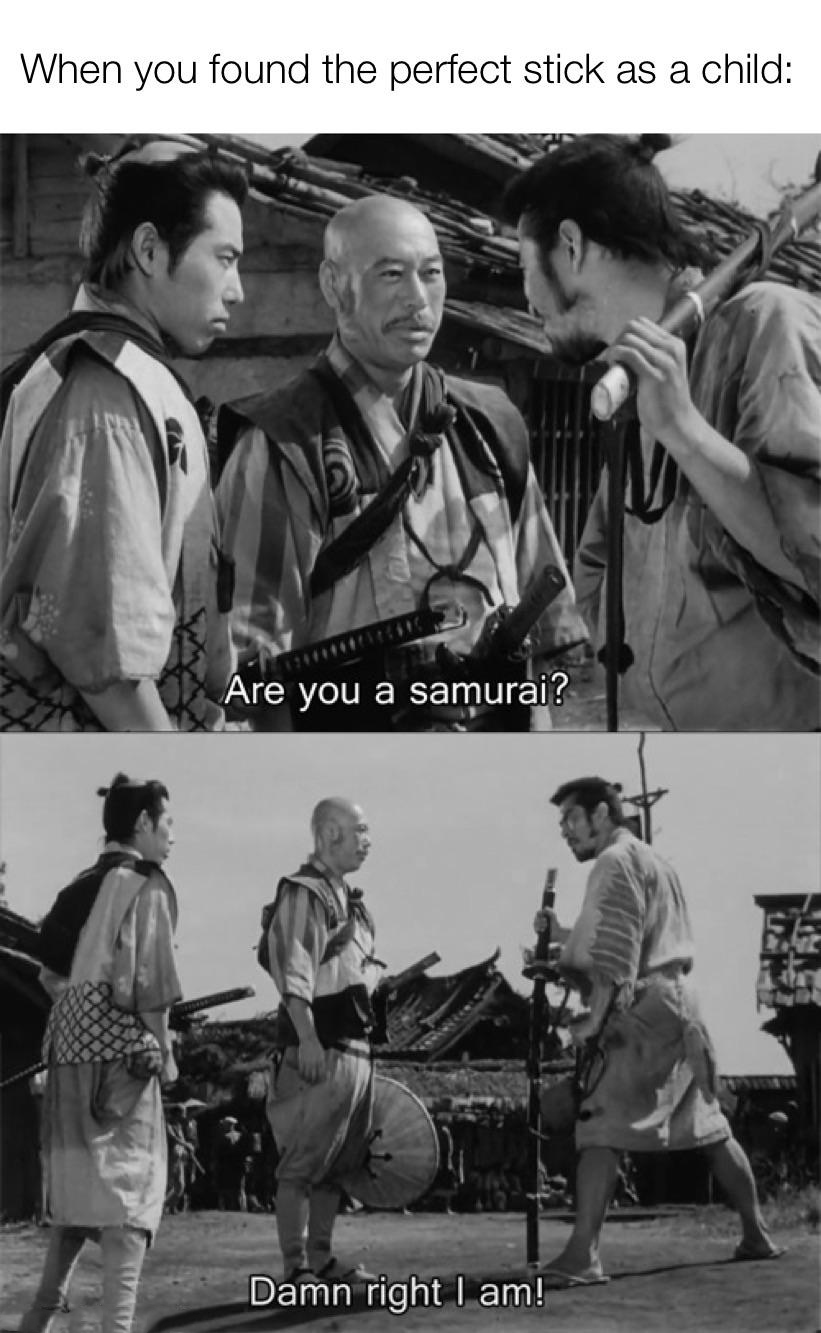 funniest memes - photograph - When you found the perfect stick as a child Are you a samurai? Damn right I am!